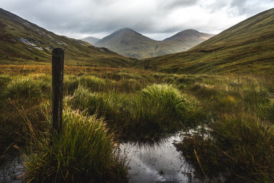 wróć do wydarzenia